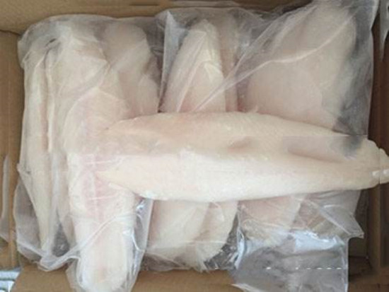 越南冰凍巴沙魚片進口報關_一般貿易代理服務案例