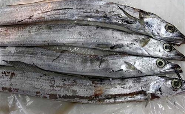 巴基斯坦沙帶魚進口報關流程手續及時間 巴基斯坦沙帶魚進口報關流程手續及時間