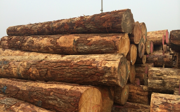 原木進口清關上海代理公司-國內外需提供的清關資料