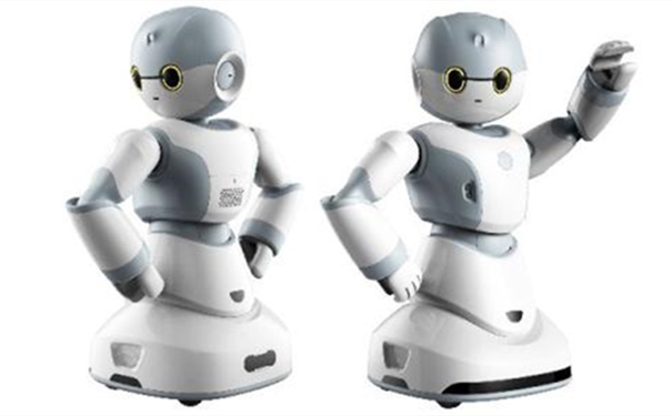 【機器人進口報關代理公司】告訴你機器人進口流程 【機器人進口報關代理公司】告訴你機器人進口流程