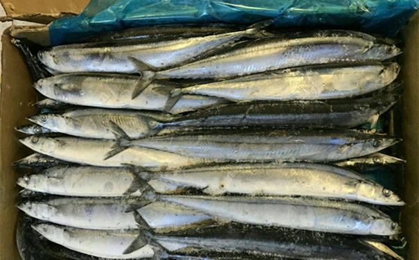 在嗎?【進口冷凍海鮮清關代理】的流程請查收 在嗎?【進口冷凍海鮮清關代理】的流程請查收