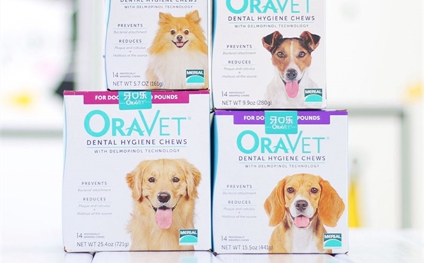 【寵物口腔噴霧劑進口清關】的流程，口腔噴霧進口這樣做