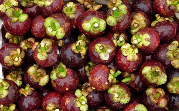 洋山港進口山竹清關公司 洋山港進口山竹清關公司