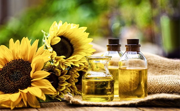 上海寵物零食進口清關代理公司 上海寵物零食進口清關代理公司