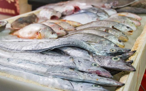 青島進口水產品報關公司 青島進口水產品報關公司