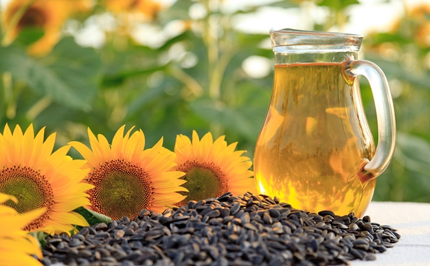 從俄羅斯進(jìn)口葵花籽油清關(guān)的流程,超詳細(xì) 從俄羅斯進(jìn)口葵花籽油清關(guān)的流程,超詳細(xì)