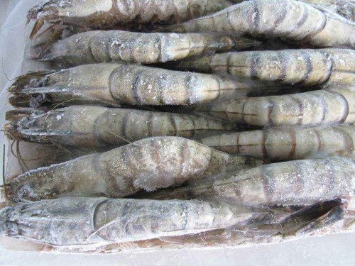 這是一家有著15年海鮮進口報關經驗的代理公司 這是一家有著15年海鮮進口報關經驗的代理公司