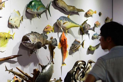 動物標本進口報關-動物標本是如何進口報關到國內的? 動物標本進口報關-動物標本是如何進口報關到國內的?