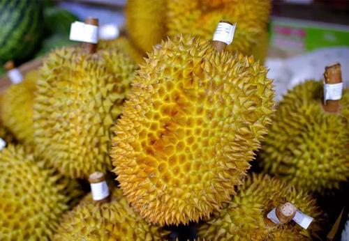 泰國榴蓮進口報關清關代理公司有哪些?榴蓮進口報關注意事項