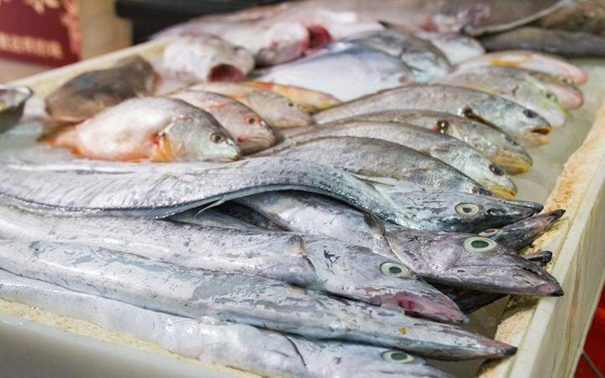 上海水產(chǎn)品進(jìn)口報(bào)關(guān)公司 上海水產(chǎn)品進(jìn)口報(bào)關(guān)公司