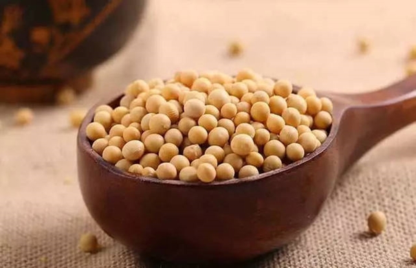 青島港大豆清關(guān)找17年經(jīng)驗(yàn)的廣東速達(dá)公司 青島港大豆清關(guān)找17年經(jīng)驗(yàn)的廣東速達(dá)公司