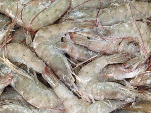 冷凍水產(chǎn)品進口清關(guān)資料簡介進口水產(chǎn)品標簽問題 冷凍水產(chǎn)品進口清關(guān)資料簡介進口水產(chǎn)品標簽問題