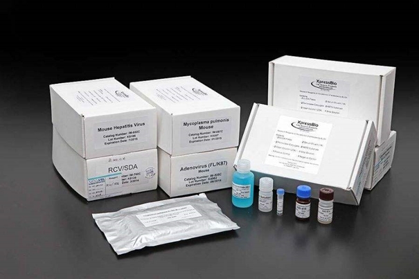 美國進口生物試劑報關常見問題,你要了解的 美國進口生物試劑報關常見問題,你要了解的