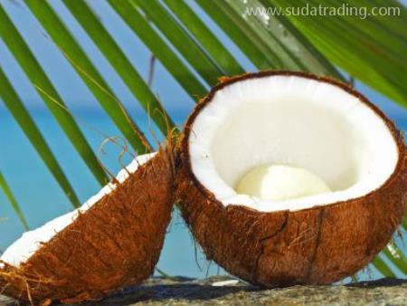 椰子廣州進口清關代理檢驗條件與所需資質整理