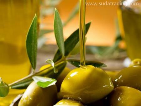 橄欖油機場進口代理報關操作要多久？