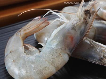 白蝦深圳機場進口代理清關需要關注的幾點問題！