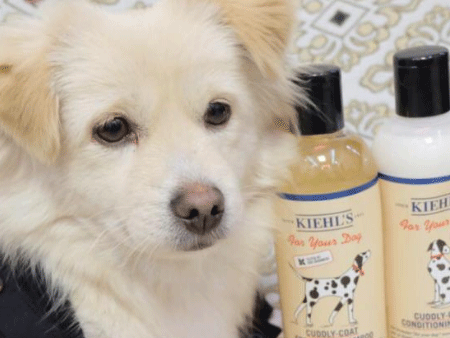 廣東速達供應(yīng)鏈代理寵物洗護用品進口報關(guān)操作流程