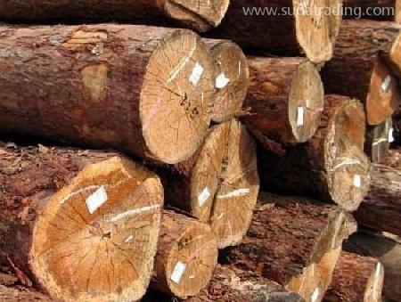 詳細(xì)版木材進(jìn)口清關(guān)流程講解！建議收藏！