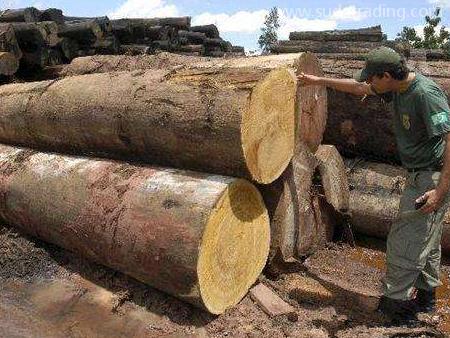 木材進口報關有這些單證資料要提交！