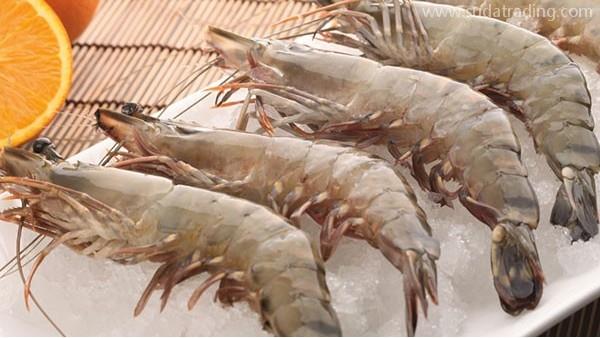 盤(pán)點(diǎn)！水產(chǎn)品進(jìn)口報(bào)關(guān)的那些細(xì)節(jié)！