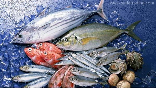 東莞水產品進口報關代理的注意事項及知識要點