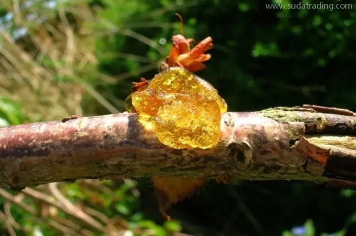 上海樹脂進口報關代理的3個注意事項 上海樹脂進口報關代理的3個注意事項