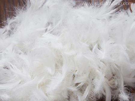 鵝毛廣州進口清關需要什么資料？流程是怎樣的？