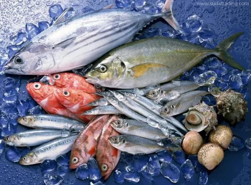 水產品進口注意事項 水產品進口注意事項