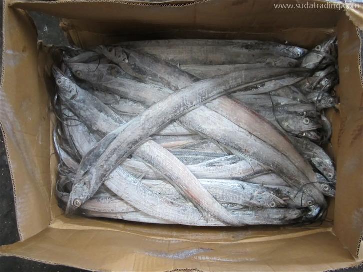 冷凍帶魚清關公司排名怎樣冷凍魚清關代理公司 冷凍帶魚清關公司排名怎樣冷凍魚清關代理公司