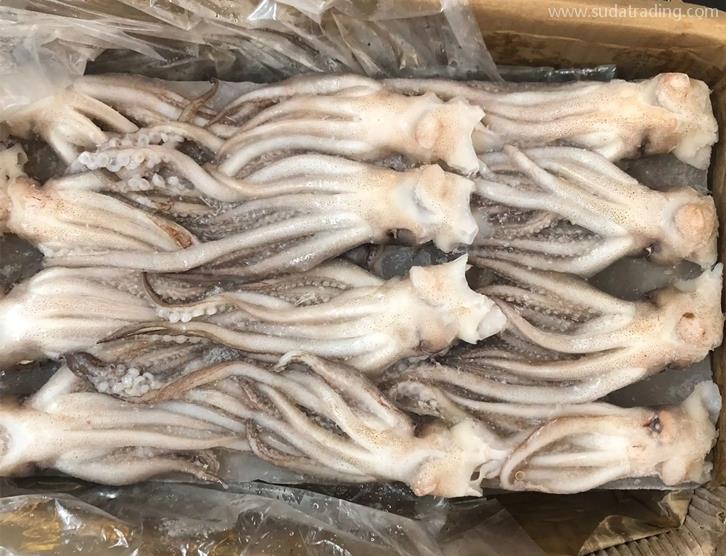 冷凍魷魚(yú)進(jìn)口報(bào)關(guān)的注意事項(xiàng)以及流程手續(xù) 冷凍魷魚(yú)進(jìn)口報(bào)關(guān)的注意事項(xiàng)以及流程手續(xù)