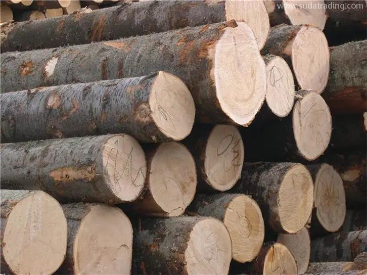 連云港進口木材報關一般貿易流程 連云港進口木材報關一般貿易流程