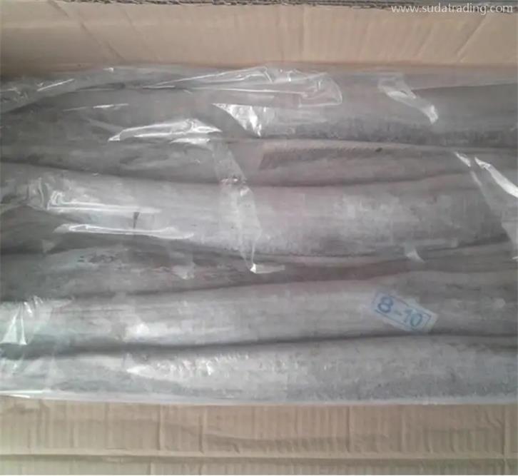 上海冷凍帶魚進口報關公司 上海冷凍帶魚進口報關公司