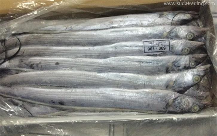 上海冷凍帶魚進口報關公司 上海冷凍帶魚進口報關公司
