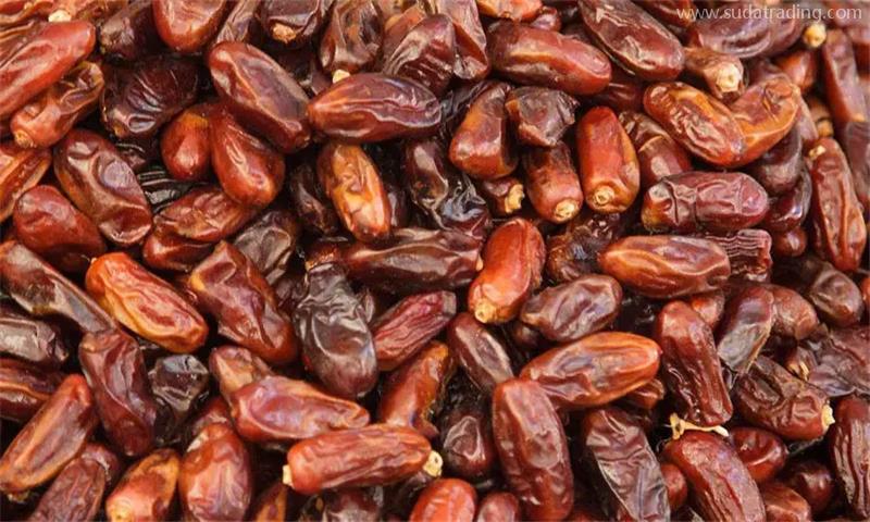沙特阿拉伯干椰棗進口報關的注意事項，看就知道了