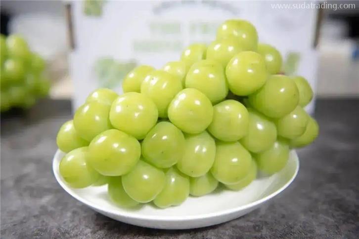 進口韓國葡萄報關的流程及葡萄準入目錄名單