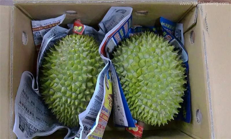 越南榴蓮進口報關(guān)國內(nèi)外要提供的資料榴蓮報關(guān)清關(guān)代理