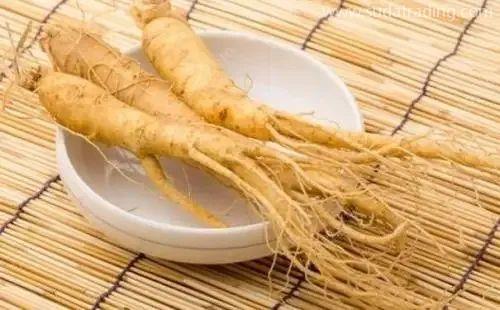 瀕危物種西洋參及其進出口監管知識 瀕危物種西洋參及其進出口監管知識