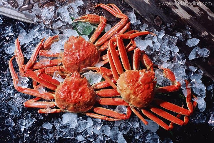 廣州機(jī)場進(jìn)口斯里蘭卡螃蟹報(bào)關(guān)費(fèi)用水產(chǎn)品通關(guān)費(fèi) 廣州機(jī)場進(jìn)口斯里蘭卡螃蟹報(bào)關(guān)費(fèi)用水產(chǎn)品通關(guān)費(fèi)