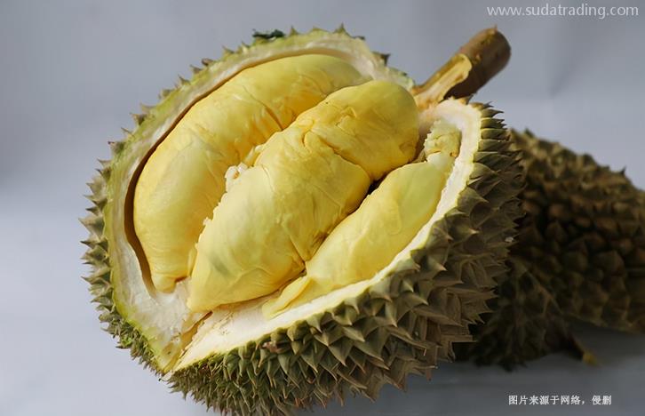 越南榴蓮進口清關(guān)資料提供這6樣-19年水果報關(guān)行 越南榴蓮進口清關(guān)資料提供這6樣-19年水果報關(guān)行