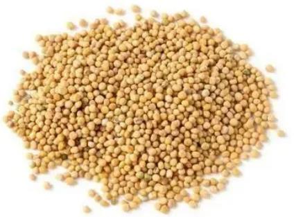 芥子進口報關清關流程詳解