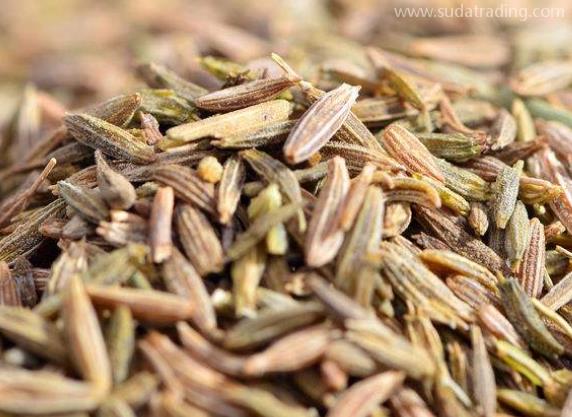 棉籽殼進口報關清關流程詳解 棉籽殼進口報關清關流程詳解