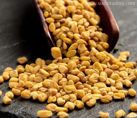 印度葫蘆巴子如何進口？