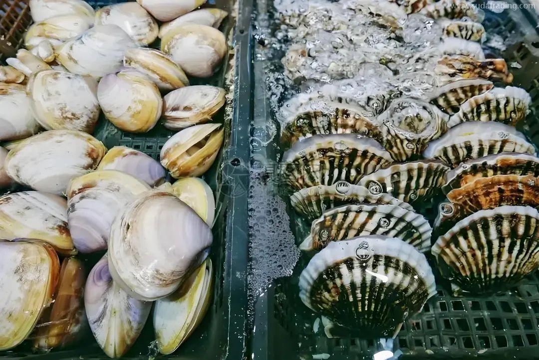 【進出口知識】出口水產(chǎn)品養(yǎng)殖場備案