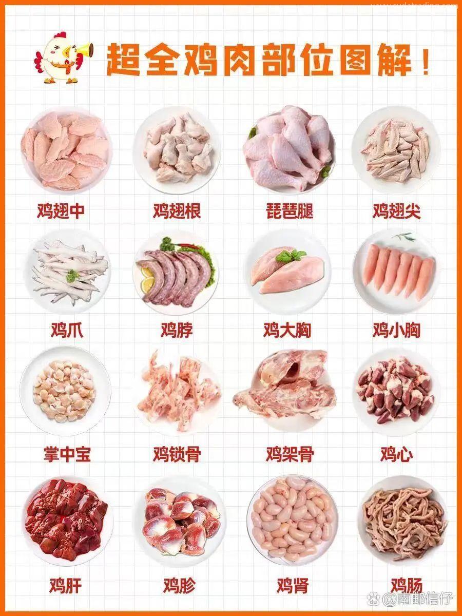 【進(jìn)口知識(shí)】帶你了解進(jìn)口雞類(lèi)產(chǎn)品的世界